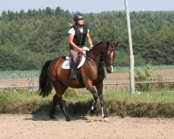 broodmare Donata 283 (Trakehner, 2010, from Cavallieri xx)