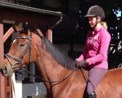 broodmare Efthimia (Trakehner, 2012, from Hibiskus)