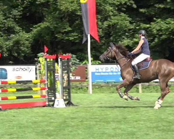 Reitturnier Kappelen-Lyss 2019