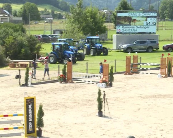 Reitturnier Turbenthal 2019