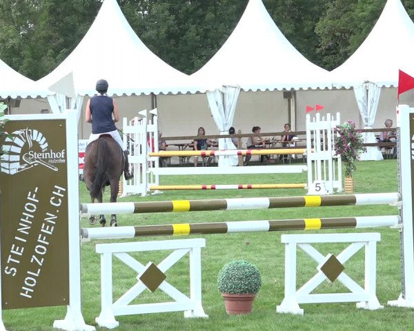 Reitturnier Kappelen-Lyss 2019