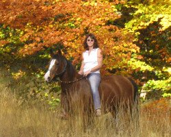 horse Pebbles (Rhinelander, 2000, from Polar ox)