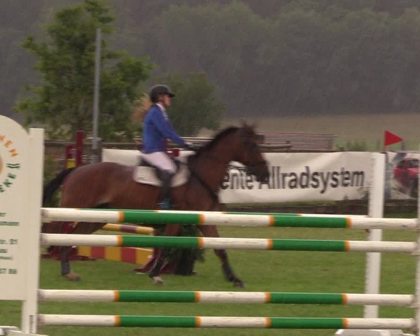 Reitturnier Ladeburg 2019