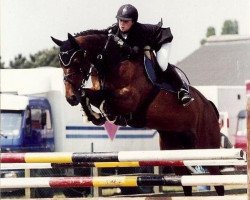 Zuchtstute Roxane van het Lambroeck (Belgisches Warmblut, 1994, von Nabab de Rêve)