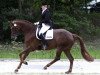 dressage horse Florival 2 (Hanoverian, 2006, from Florencio I)