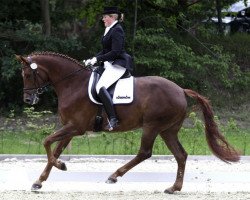 dressage horse Florival 2 (Hanoverian, 2006, from Florencio I)