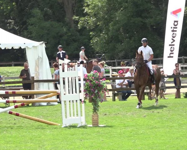 Reitturnier Kappelen-Lyss 2019