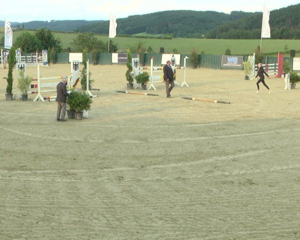 Reitturnier Lindlar-Süttenbach 2019
