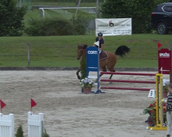 Reitturnier Turbenthal 2019