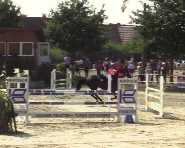 Reitturnier Ascheberg 2021