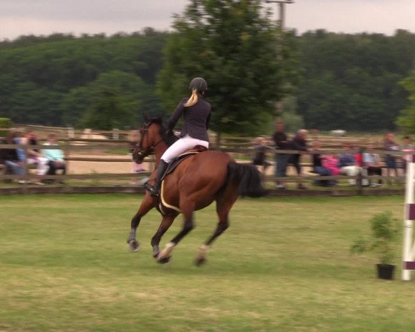 Reitturnier Ladeburg 2019