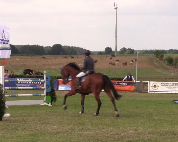 Reitturnier Ladeburg 2019
