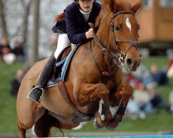 broodmare Orchid's Jumellea (New Forest Pony, 1993, from Kantje's Ronaldo)