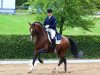 dressage horse Don Cismo (Oldenburg, 2007, from Diamond Hit)