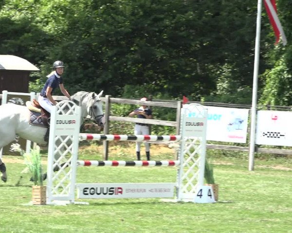 Reitturnier Kappelen-Lyss 2019