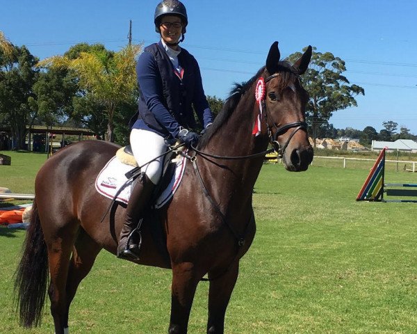 horse Neuland Sapphire (South African Warmblood, 2011, from Rivendell Sirandipity)