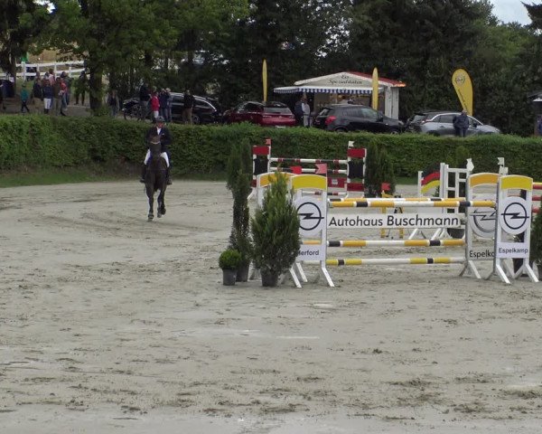 Reitturnier Vlotho-Exter 2019