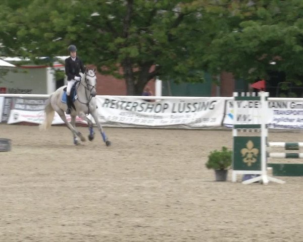 Reitturnier RA Haren/Lüssing 2019