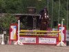 Deckhengst For Laubry (Belgisches Warmblut, 2011, von For Passion d'Ive Z)