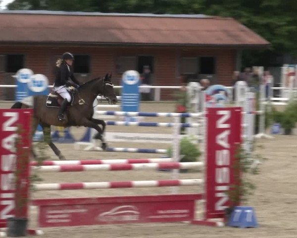 Reitturnier RA Haren/Lüssing 2019