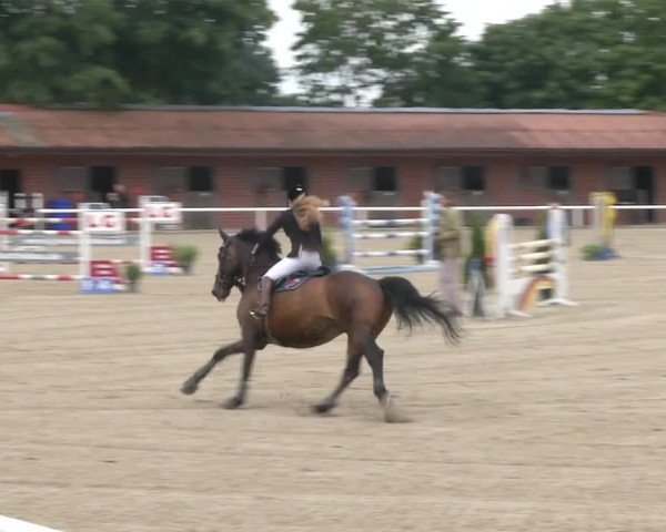 Reitturnier RA Haren/Lüssing 2019