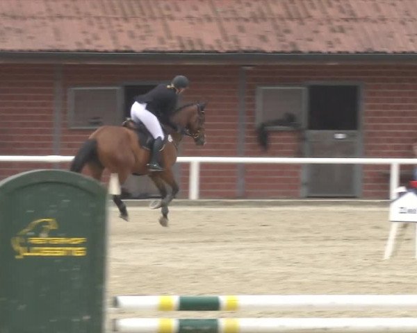 Reitturnier RA Haren/Lüssing 2019