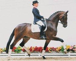 dressage horse Savannah (Oldenburg, 2005, from Sandro Hit)