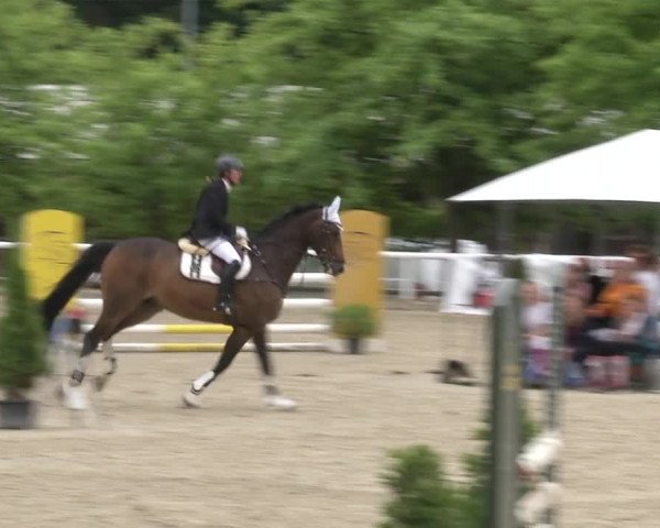 Reitturnier RA Haren/Lüssing 2019