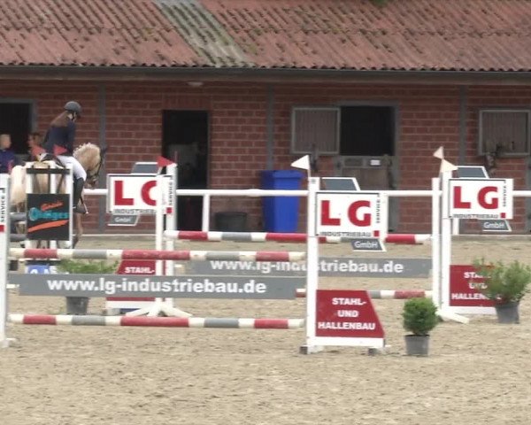 Reitturnier RA Haren/Lüssing 2019