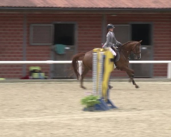 Reitturnier RA Haren/Lüssing 2019