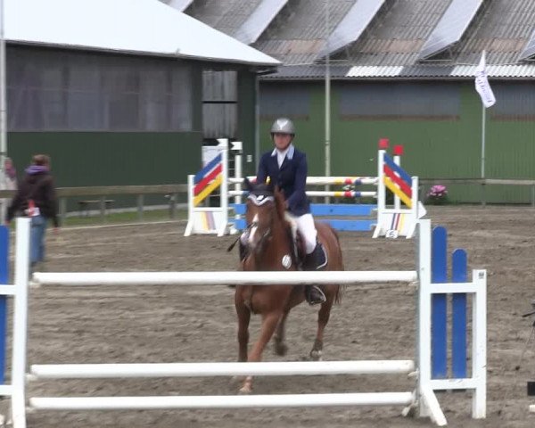 Reitturnier Süderlügum 2019