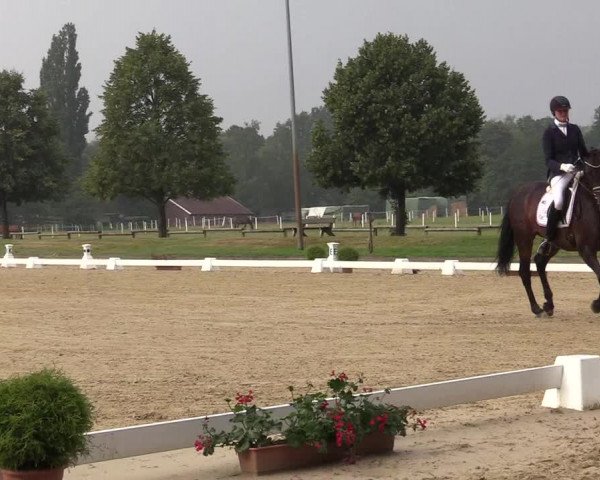 Reitturnier Münster-Roxel 2019