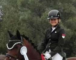 dressage horse Mellimaras Sansibar (New Forest Pony, 2005, from Sir Durk)