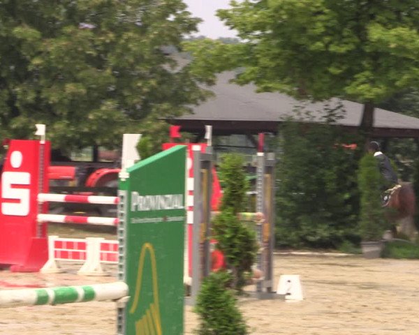 Reitturnier Münster-Roxel 2019