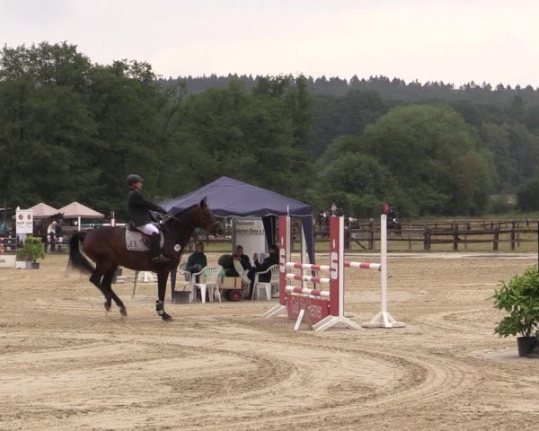 Reitturnier Hemer-Oese an der Edelburg 2019