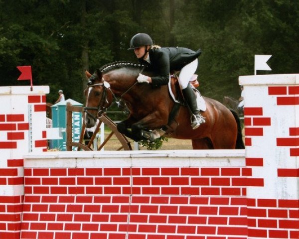 stallion PSW Pitu (German Riding Pony, 2002, from FS Pearcy Pearson)