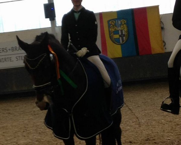 dressage horse Lusebus (Westphalian, 2009, from Lugato)