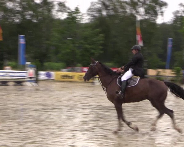 Reitturnier Münster-Roxel 2019