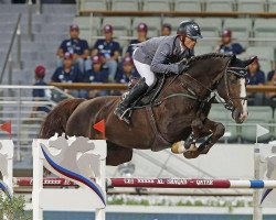 jumper Giovanni van het Scheefkasteel (Belgian Warmblood, 2006, from Darco)