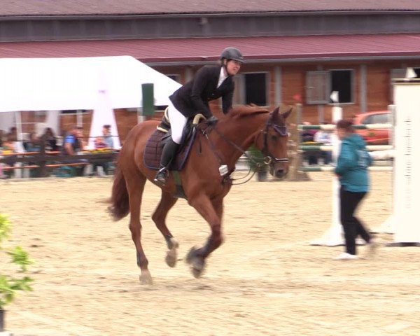 Reitturnier Hemer-Oese an der Edelburg 2019