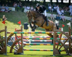 jumper Arc de Triomphe (KWPN (Royal Dutch Sporthorse), 2005, from Triomphe de Muze)