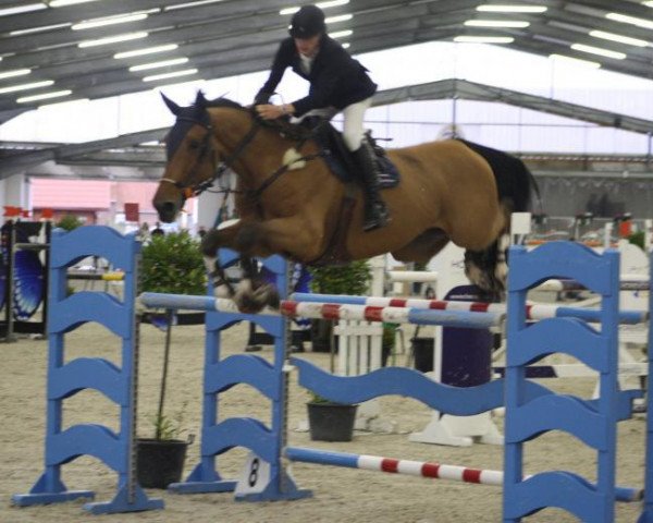 jumper Upper Class Hero (Belgium Sporthorse, 2004, from Querlybet Hero)