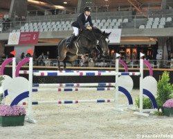 jumper Iris (Belgian Warmblood, 2008, from Radco d'Houtveld)