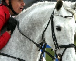 broodmare Cleopatre F (Holsteiner, 2004, from Cassini I)