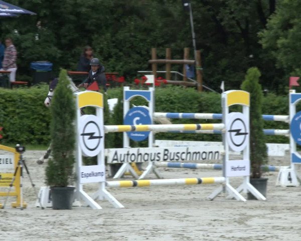 Reitturnier Vlotho-Exter 2019