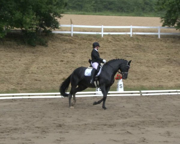 Reitturnier Vlotho-Exter 2019