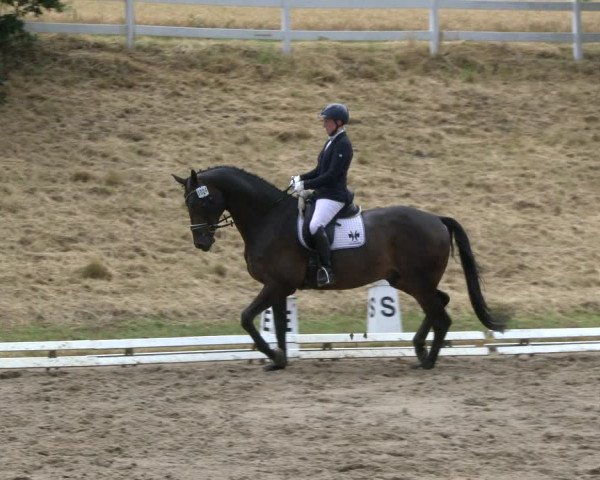 Reitturnier Vlotho-Exter 2019