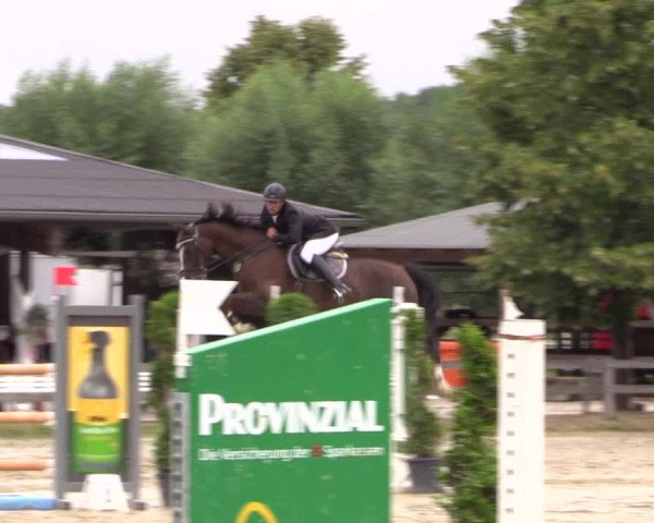 Reitturnier Münster-Roxel 2019