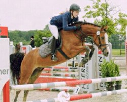 Springpferd Deadpool (Deutsches Reitpony, 2012, von Dance Star AT)