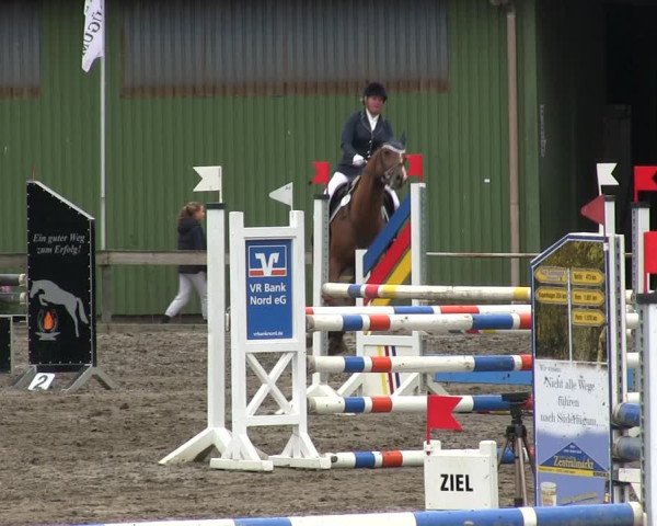 Reitturnier Süderlügum 2019